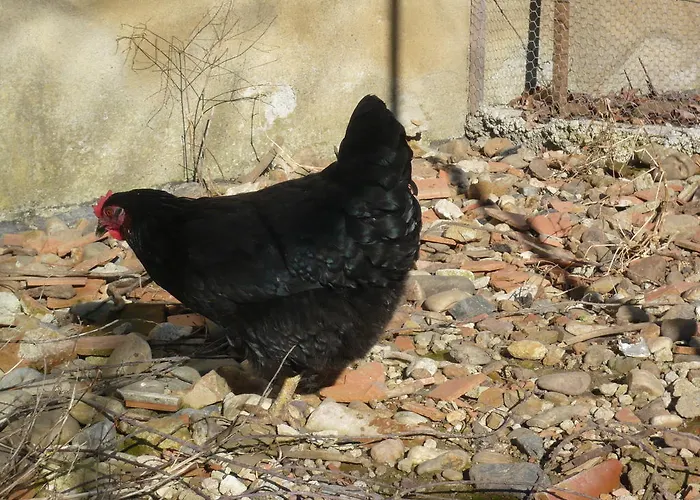 Le Soubiran